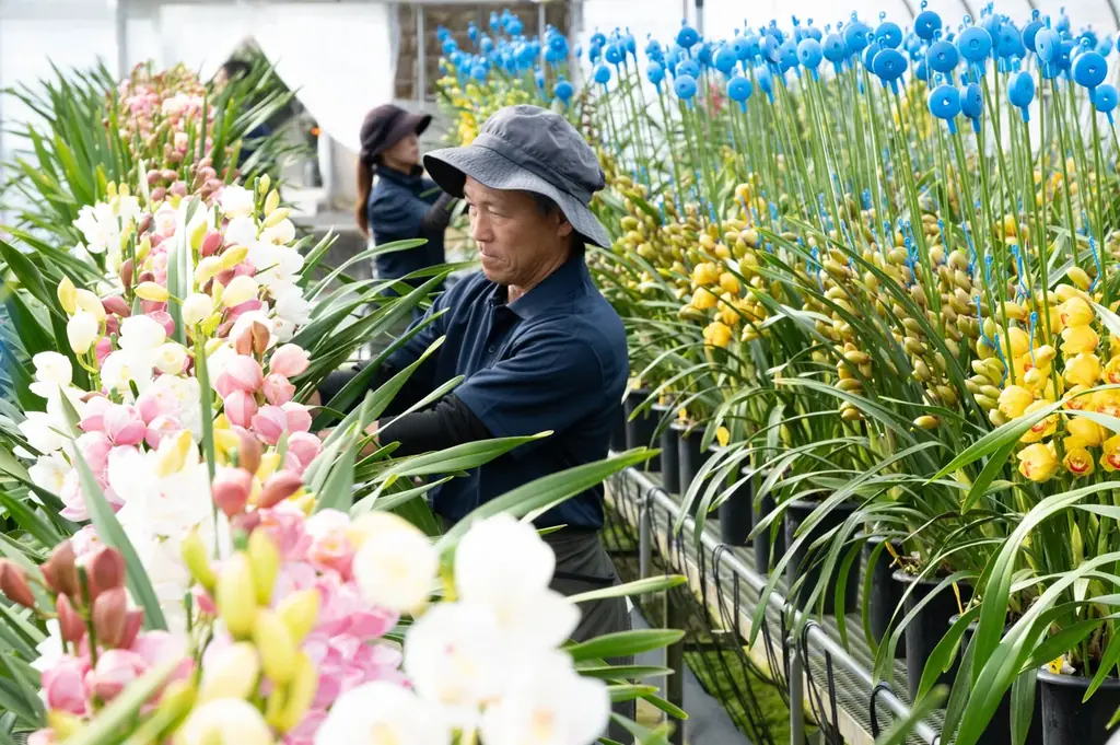 初の企業CM公開