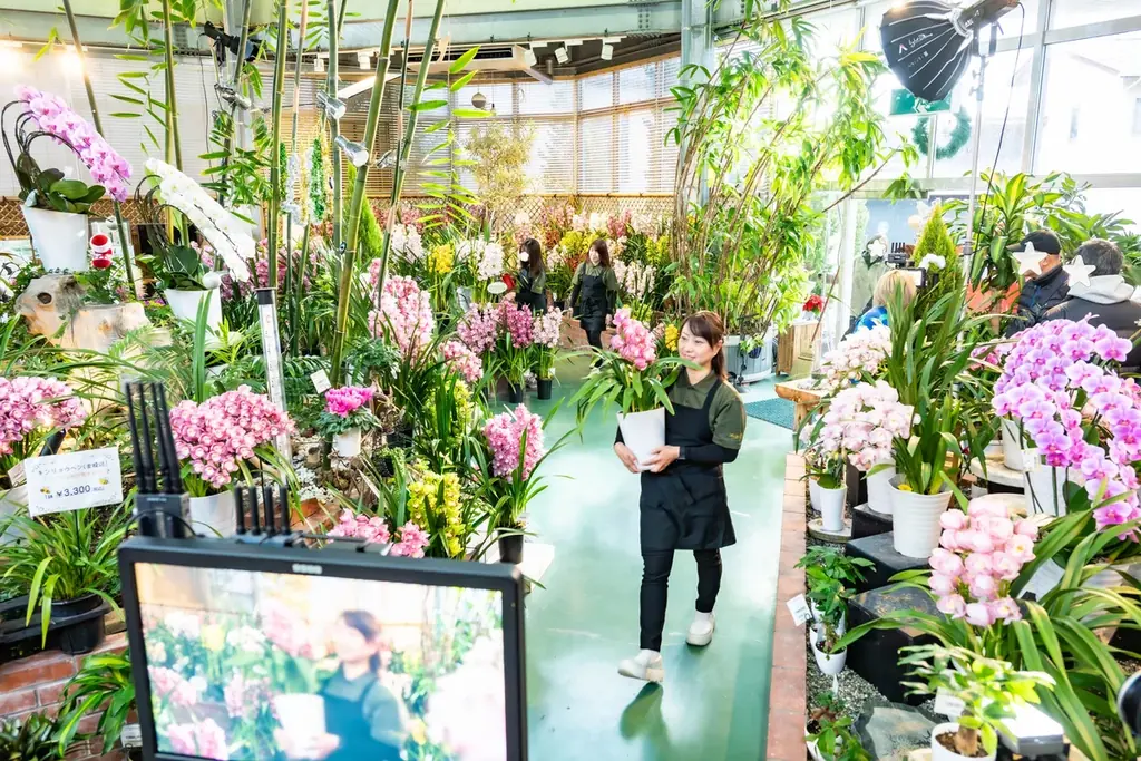 【ラン♪初CM 開始！】祝 創業60 周年！ 徳島から世界一受賞の洋ラン企業より 「ランランら～ン」の歌に、感謝と未来への夢を込めて 画像 2