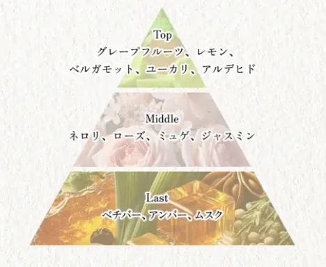 フレグランスブランド「Buddy」、YouTuberヒカルが手がける沖縄・宮古島のホテル「HOTEL 385 Project by ReZARD」と新たな提携を発表 画像 5