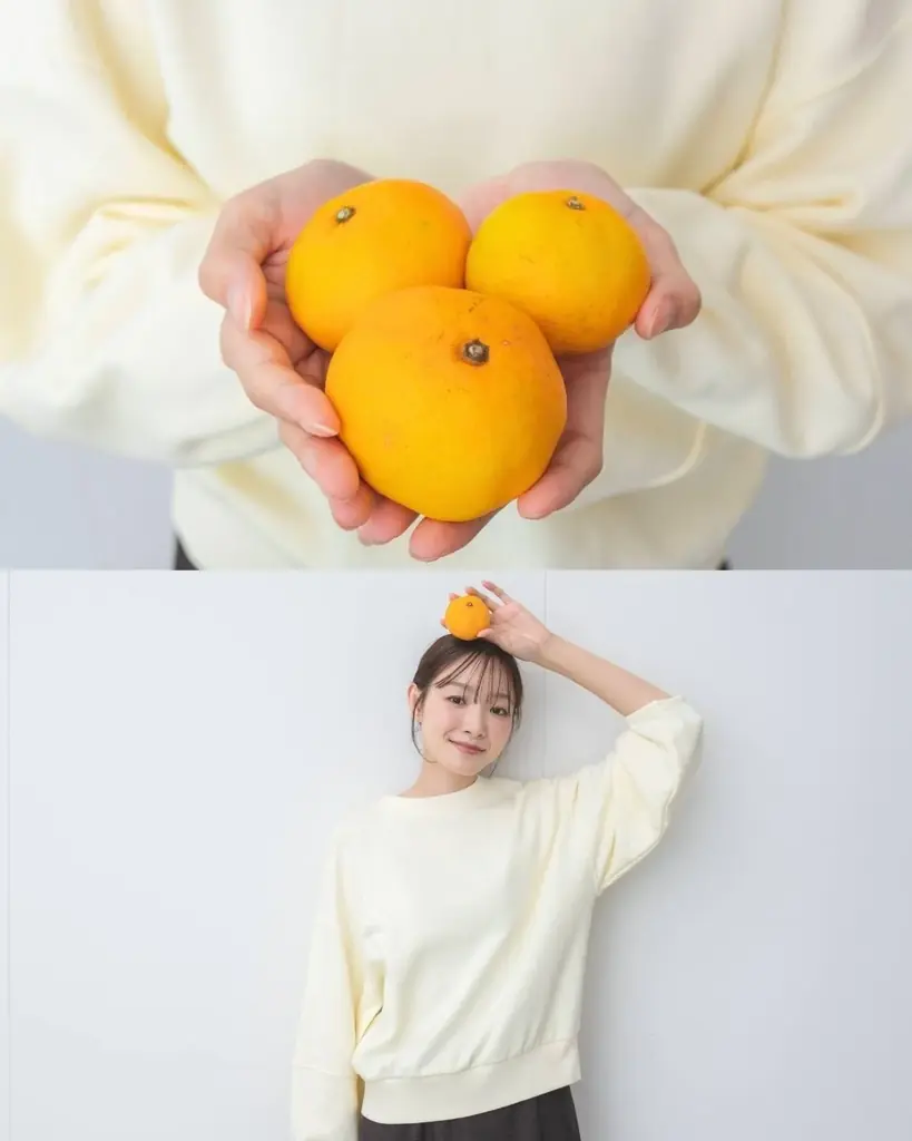 福岡発サステナブルブランド「rrrrrrrrr」、みかんの果皮と剪定した枝葉で染めた新作スウェットを、2026年1月8日（木）オンラインストアにて販売開始。 画像 5