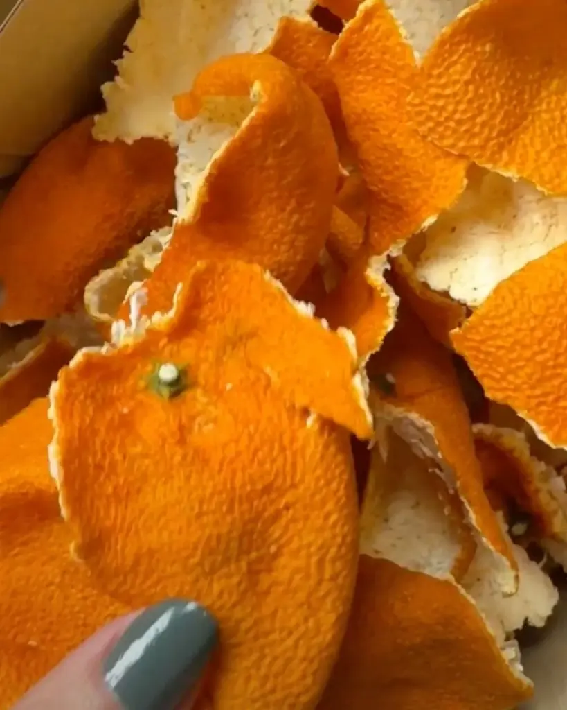 福岡発サステナブルブランド「rrrrrrrrr」、みかんの果皮と剪定した枝葉で染めた新作スウェットを、2026年1月8日（木）オンラインストアにて販売開始。 画像 8