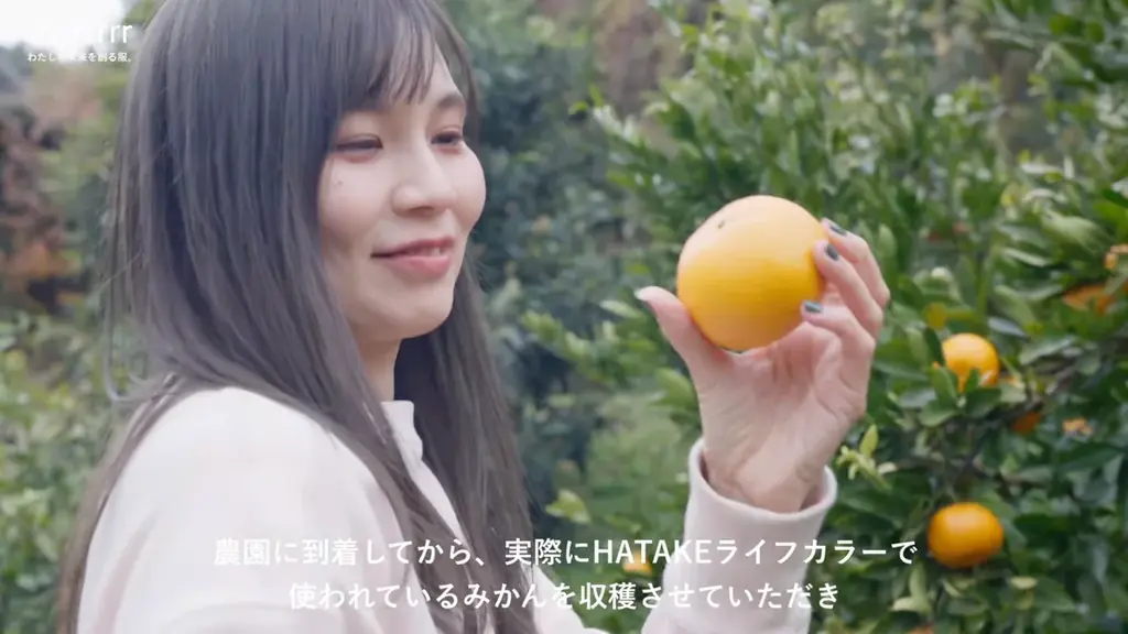 福岡発サステナブルブランド「rrrrrrrrr」、みかんの果皮と剪定した枝葉で染めた新作スウェットを、2026年1月8日（木）オンラインストアにて販売開始。 画像 9