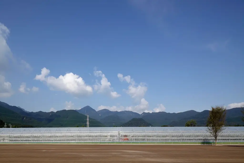 最大22品種のいちごを味わえるいちご狩りのシーズン到来！アクアイグニスまるごと完熟いちごフェア 画像 3