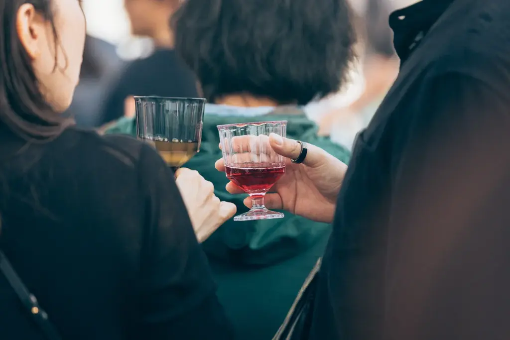 ワインと音楽と食の祭典「VIN PARK 2026」Makuakeにて応援購入プロジェクトを実施 画像 2