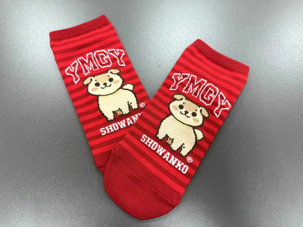 創業55周年『九州筑豊ラーメン山小屋』、イオン九州企画参加を機に“食からライフスタイルへ” ブランド価値の拡張を推進 画像 3