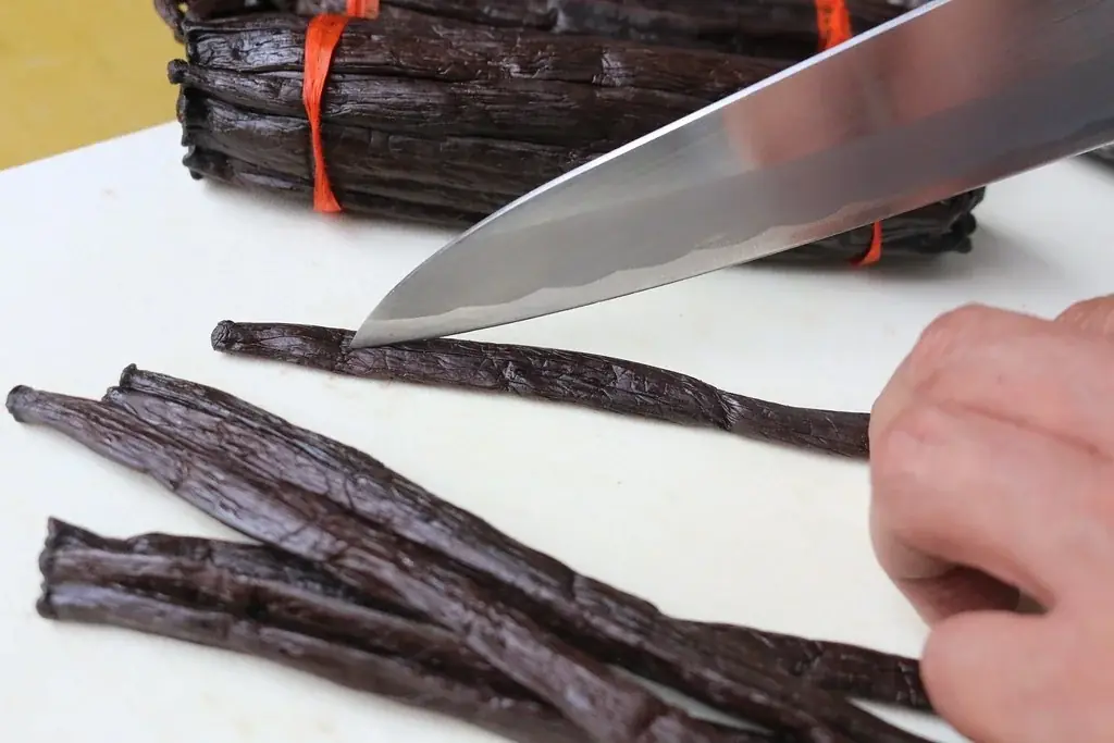 サンクトガーレン、チョコレートビール4種を2026年1月9日より数量限定販売。2026年の新フレーバーはラズベリー。バレンタインギフトにも 画像 12