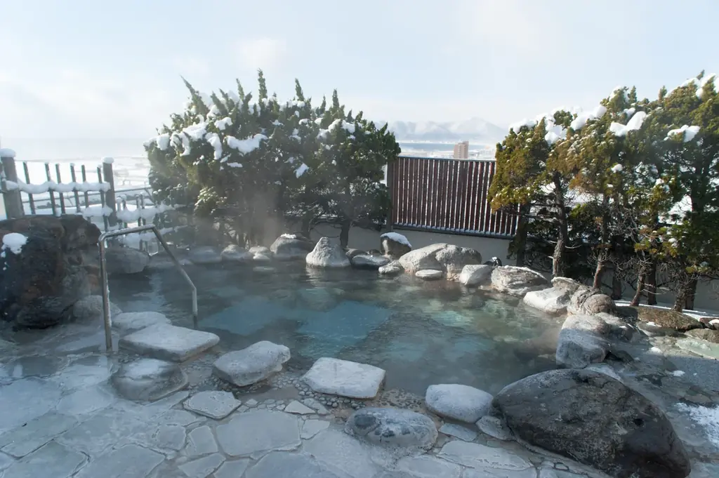 【湯の川温泉／湯元啄木亭】啄木亭からのお年玉！新春初売りセールプランを販売します！ 画像 2