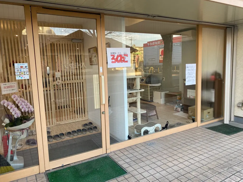 保護猫カフェ「ろくねこ」、2026年1月にサポーター制度開始