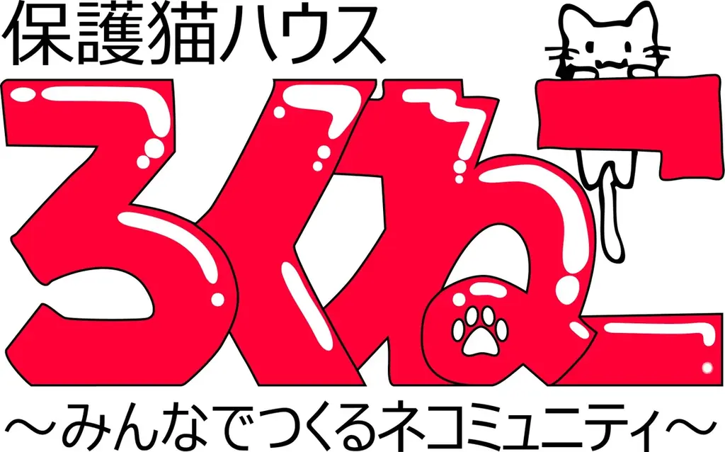 石山生産獣医科が運営する譲渡型保護猫カフェ「ろくねこ」、譲渡会10回開催・譲渡20頭以上を達成しサポーター制度を2026年1月より開始 画像 5