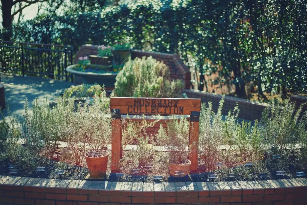 神戸布引ハーブ園で「Winter Garden Fair 2026」を開催。「ほっこり心温まる」をテーマに、温室を中心に、赤やピンクのハートのオブジェやリボン、カラフルな花々が演出するガーデンが登場！ 画像 6