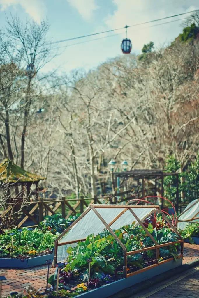 神戸布引ハーブ園で「Winter Garden Fair 2026」を開催。「ほっこり心温まる」をテーマに、温室を中心に、赤やピンクのハートのオブジェやリボン、カラフルな花々が演出するガーデンが登場！ 画像 7