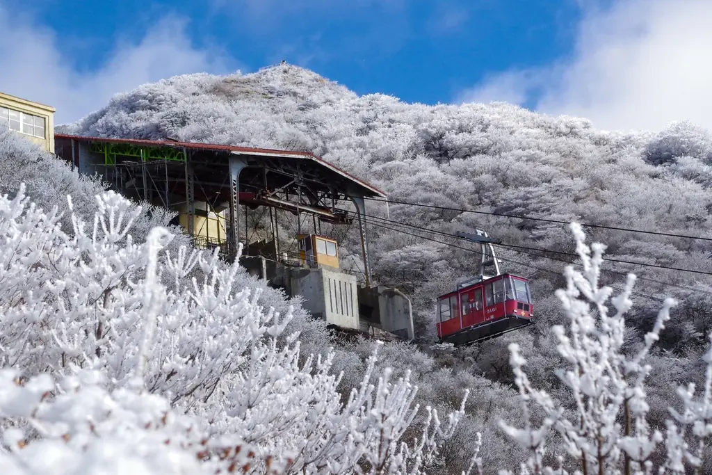 ミシュランが認めた極上の非日常へ。２月限定「雲仙灯りの花ぼうろ」と冬の贅「九絵・ふぐ・長崎牛」に酔いしれて。 画像 1