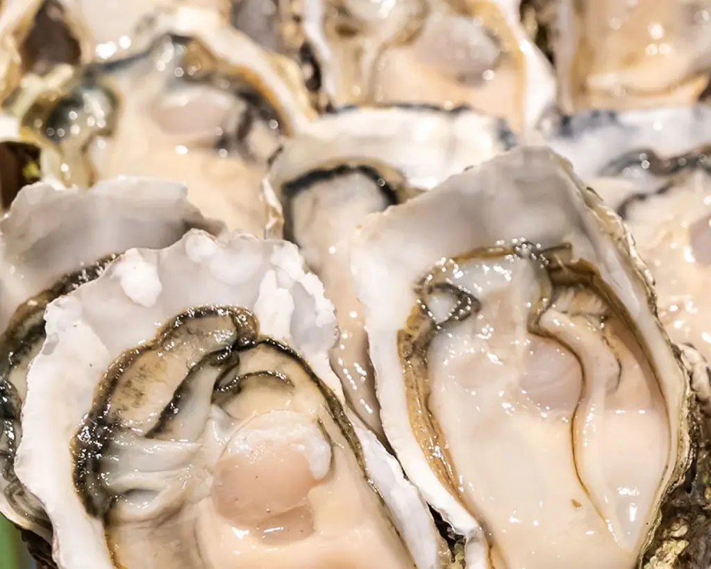 【岐阜県土岐市】牡蠣2026g2026円！？カキダオレからの新春お年玉福袋越えの牡蠣の「福バケツ」2026年1月2日から初売り！各日限定26杯！20kg越えの「超福バケツ」も勇気があるなら買ってみな！ 画像 2