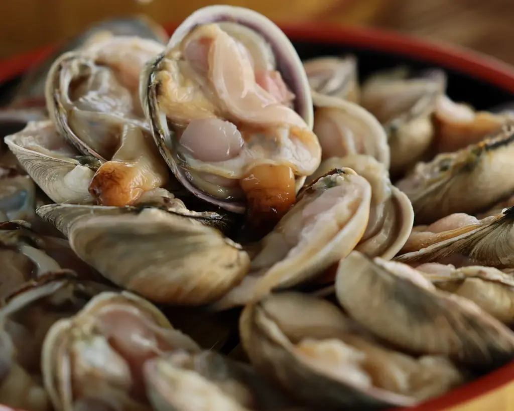 【岐阜県土岐市】牡蠣2026g2026円！？カキダオレからの新春お年玉福袋越えの牡蠣の「福バケツ」2026年1月2日から初売り！各日限定26杯！20kg越えの「超福バケツ」も勇気があるなら買ってみな！ 画像 4