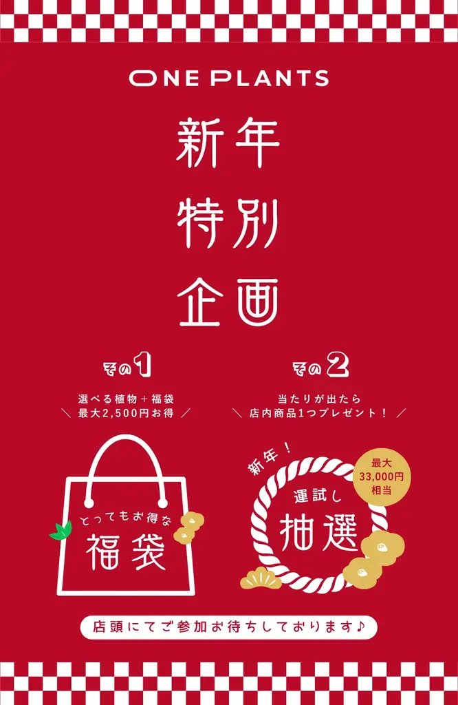 新年限定福袋＆抽選