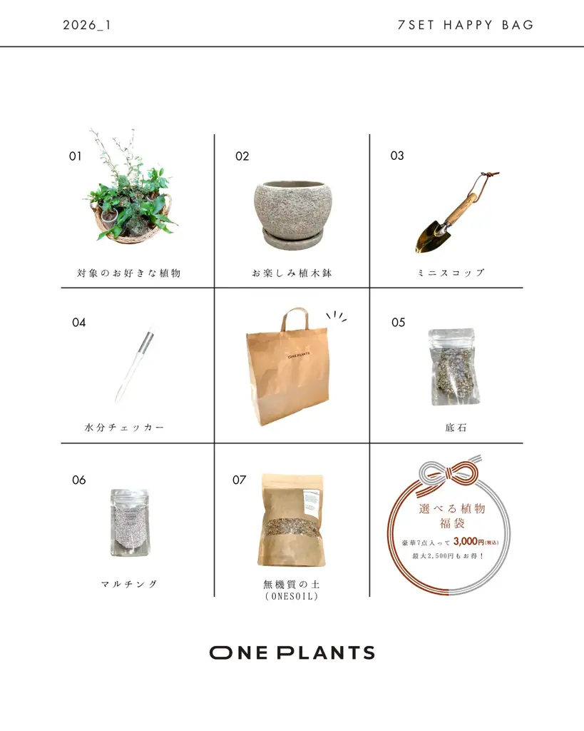 【無人の観葉植物ショップ ONE PLANTS】新年限定 福袋＆デジタル抽選会を1月1日より開催 画像 2