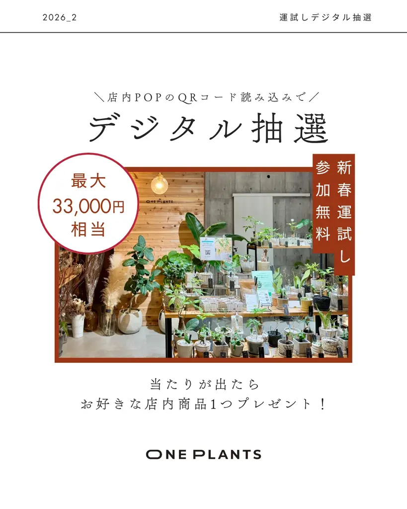 【無人の観葉植物ショップ ONE PLANTS】新年限定 福袋＆デジタル抽選会を1月1日より開催 画像 3
