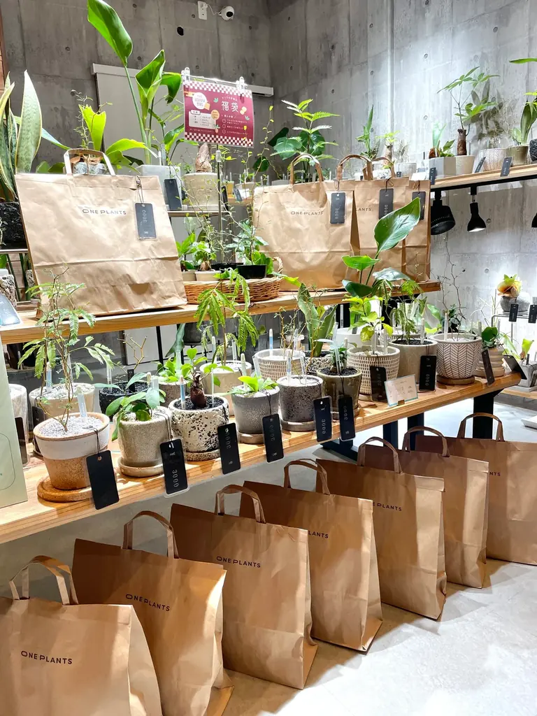 【無人の観葉植物ショップ ONE PLANTS】新年限定 福袋＆デジタル抽選会を1月1日より開催 画像 4