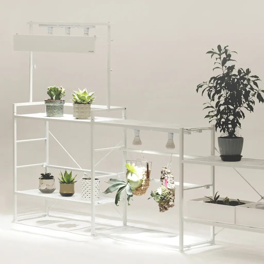 【初売りSALE】推し活・ゲーム・猫との暮らしに植物まで、あなたの「偏愛」を加速するアイテムが最大20％OFF！ 画像 5