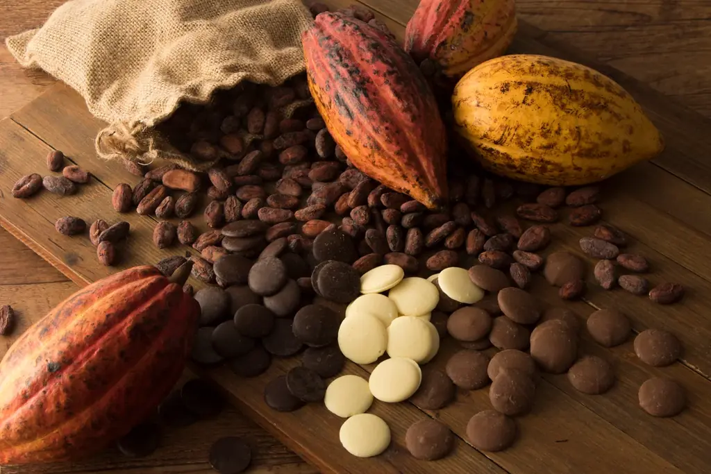 【グランプラス】ショコラで笑顔に！ ショコラティエ渾身の2026バレンタインコレクション 画像 15