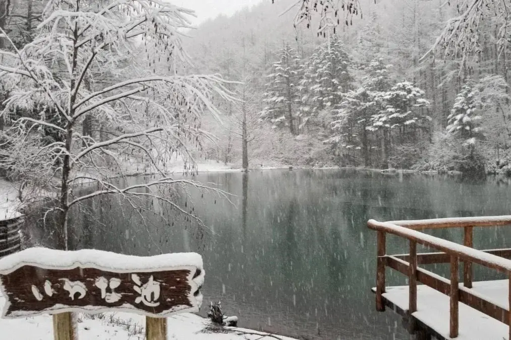 【日本一の星空】長野県阿智村　冬山デビューにおすすめ！「阿智村　スノーシューハイキング」開催！ 画像 5