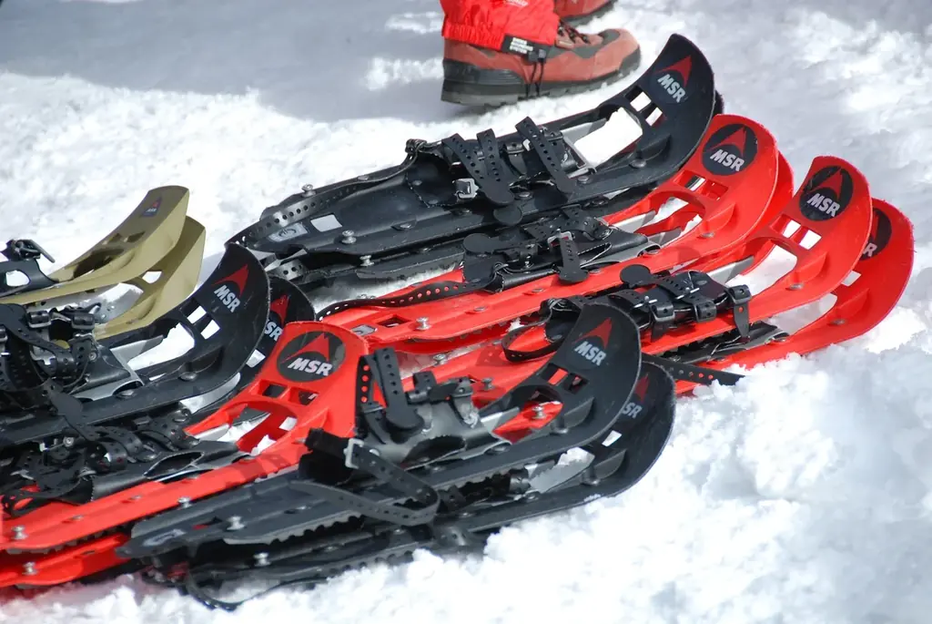 【日本一の星空】長野県阿智村　冬山デビューにおすすめ！「阿智村　スノーシューハイキング」開催！ 画像 6