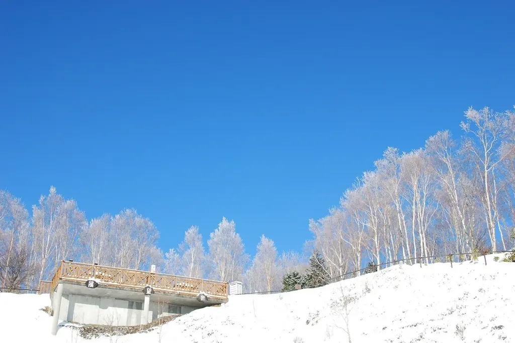 【日本一の星空】長野県阿智村　冬山デビューにおすすめ！「阿智村　スノーシューハイキング」開催！ 画像 7