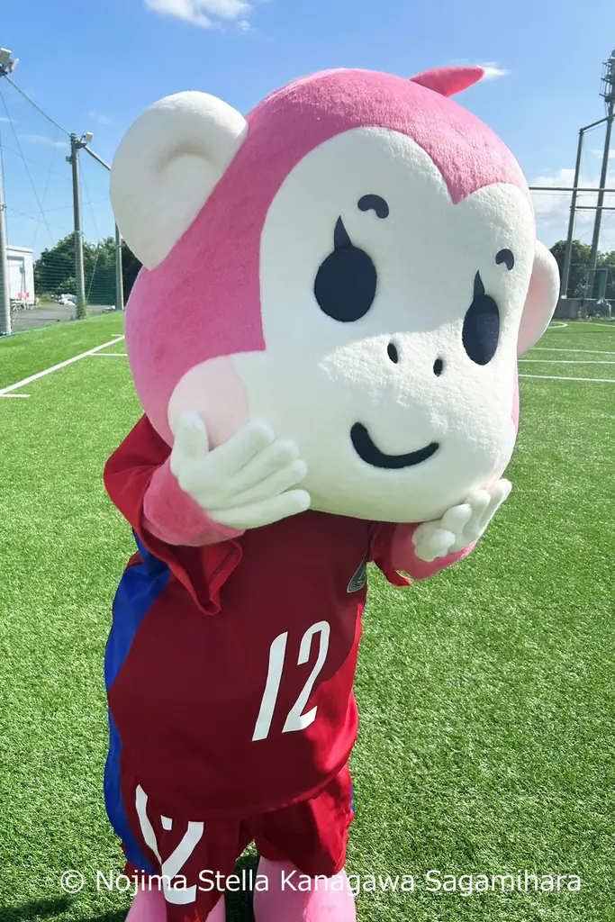 【参加無料】相模原市の4スポーツチームが大集合！「よこやまスポーツフェスティバル」2026年1月31日（土）開催（相模原市横山公園） 画像 8