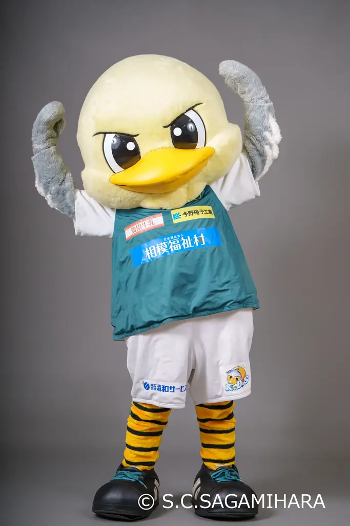 【参加無料】相模原市の4スポーツチームが大集合！「よこやまスポーツフェスティバル」2026年1月31日（土）開催（相模原市横山公園） 画像 9