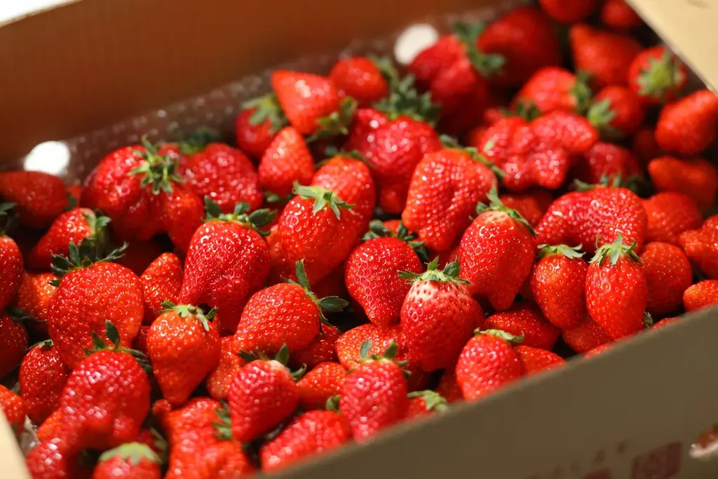 ブランドいちご食べ放題