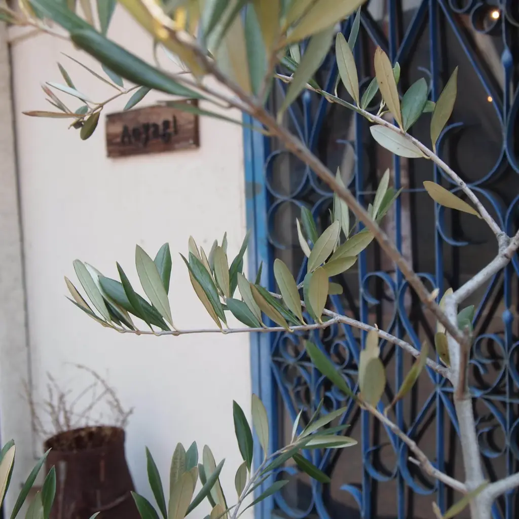 福島の“いま”を映す酒と料理の共演。ミシュラン星付き店やゴ・エ・ミヨ掲載店など福島・東京・関西の15店で「FUKUSHIMA SAKE SEVEN」フェアが1月から本格的にスタート 画像 25