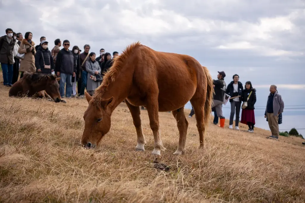 「九州・沖縄」にこだわった『初日の出＆初詣フライト2026』を実施 画像 10