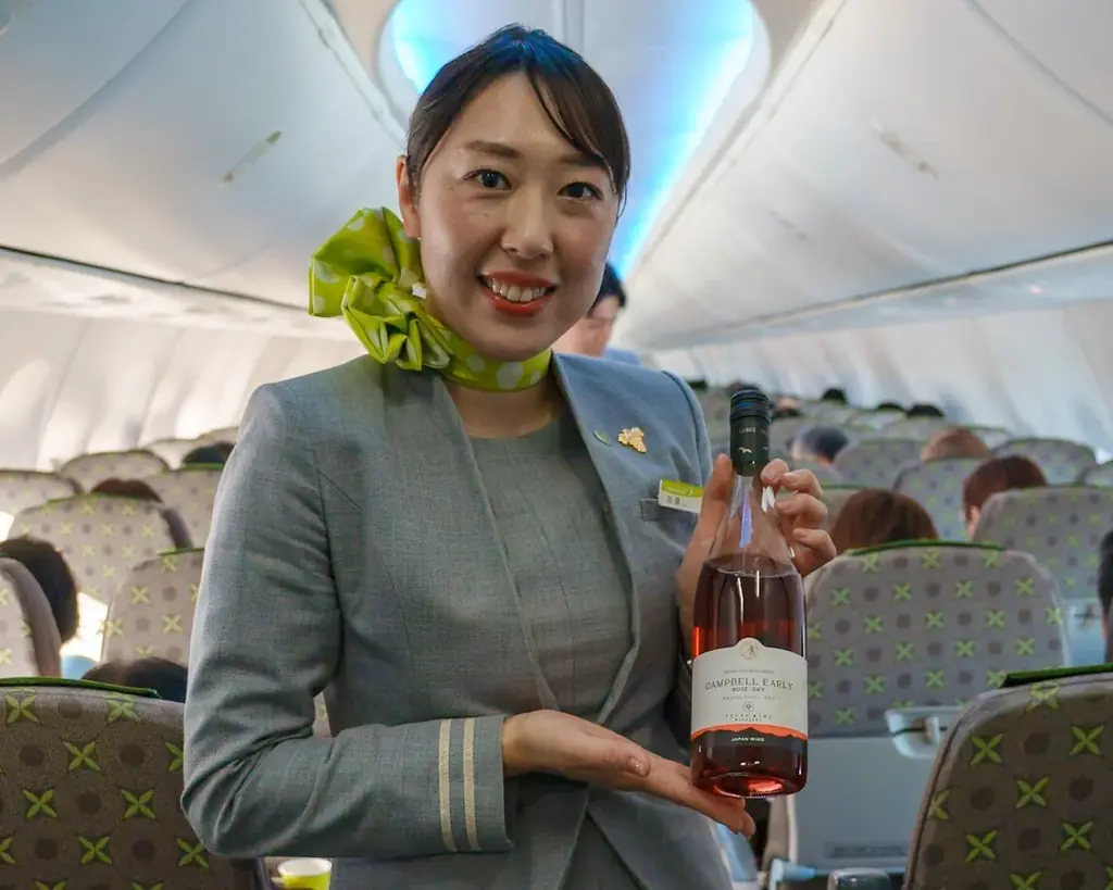 「九州・沖縄」にこだわった『初日の出＆初詣フライト2026』を実施 画像 5