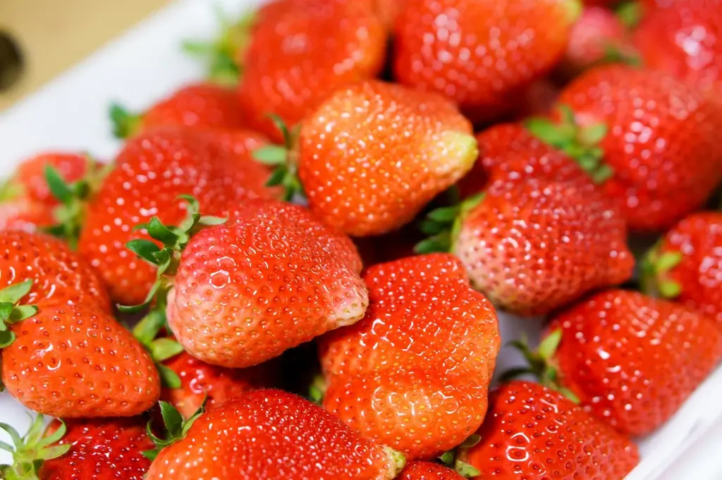 ＼TNCと大丸が最強タッグを組んだ！／『だいまるっとももち浜ストア　全九州グルメ博』が大丸福岡天神店で開催！ 画像 6