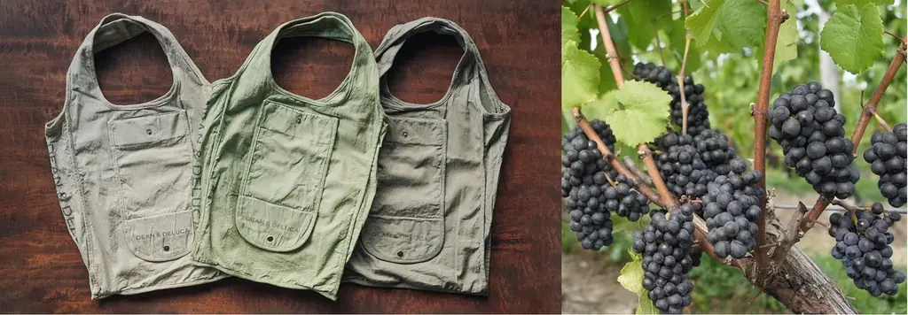 DEAN & DELUCAがBetulaN（ベチュラン）とつくる 葡萄の果皮から生まれた天然染めのショッピングバッグ 画像 3