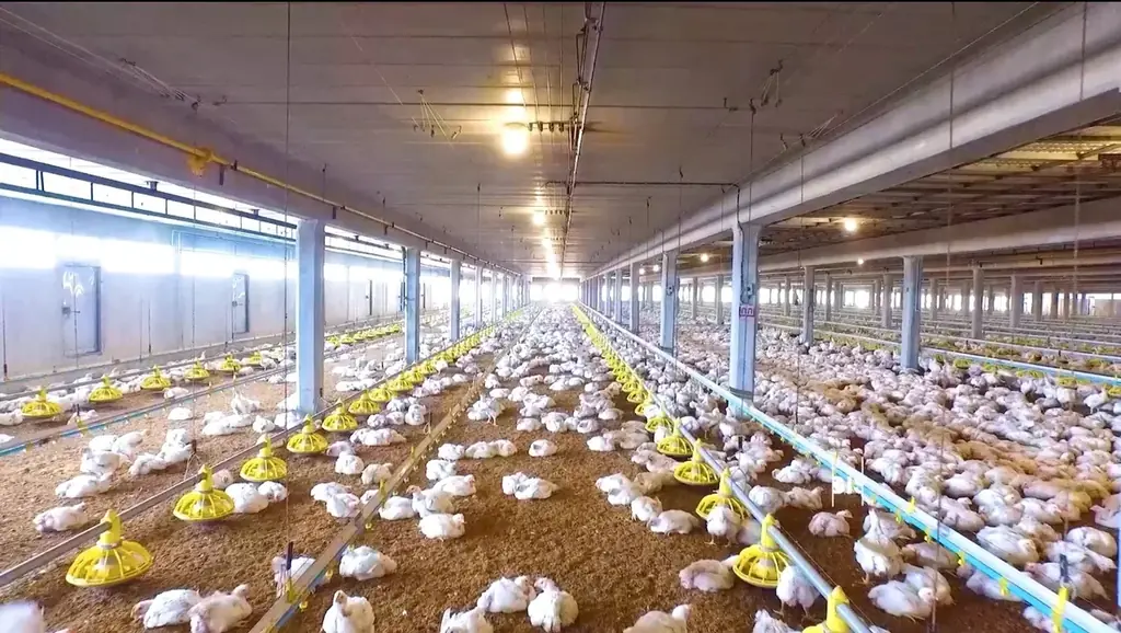 黒胡椒がガツンと刺激的！セブン‐イレブンの人気商品「若鶏のからあげ」シリーズから『やみつき！黒胡椒からあげ（もも）3個入り』が登場！ 画像 3