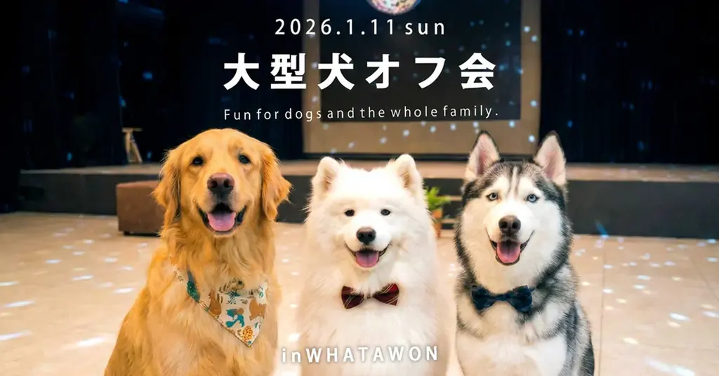 大型犬室内オフ会