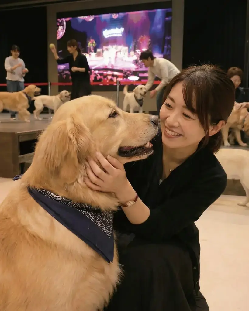 1月11日「わんわんわんの日」に開催！WHATAWONの大型犬向け室内オフ会【大阪・岸和田／参加費無料】 画像 2