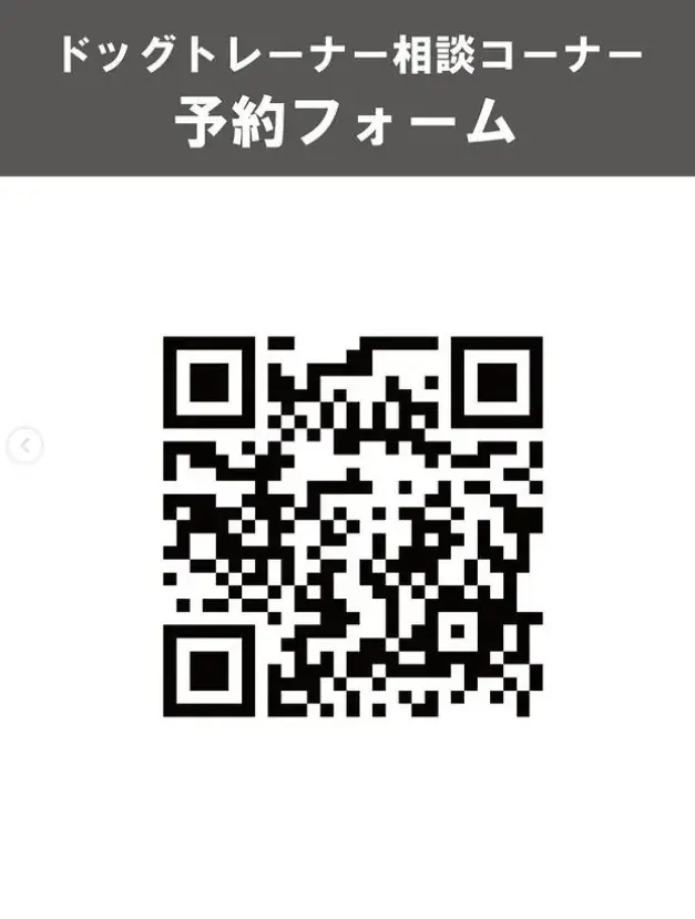 1月11日「わんわんわんの日」に開催！WHATAWONの大型犬向け室内オフ会【大阪・岸和田／参加費無料】 画像 3