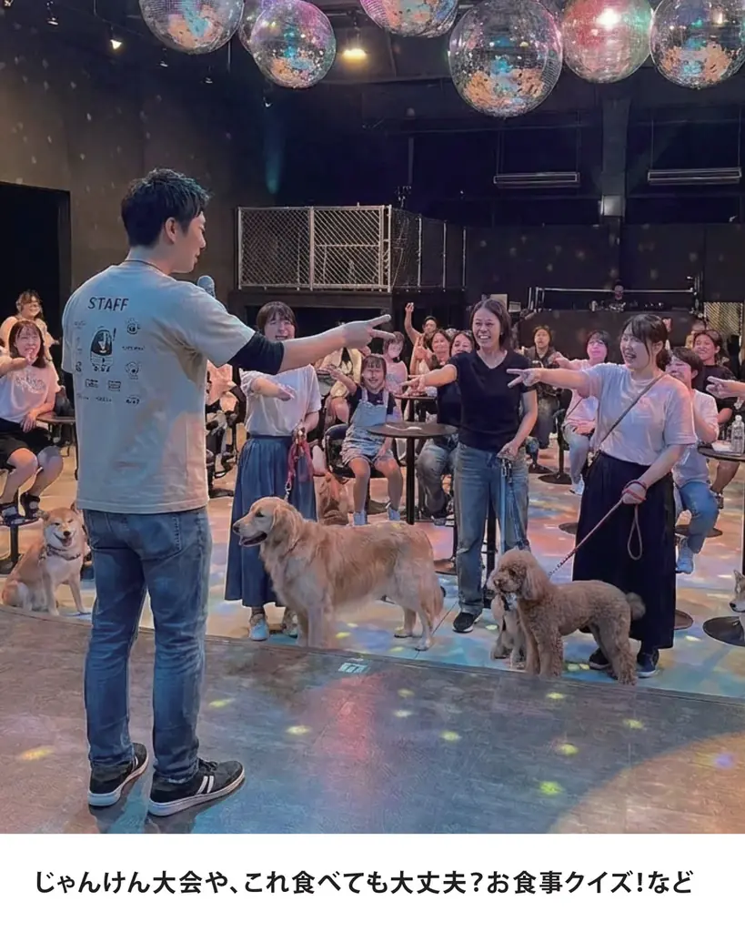 1月11日「わんわんわんの日」に開催！WHATAWONの大型犬向け室内オフ会【大阪・岸和田／参加費無料】 画像 6