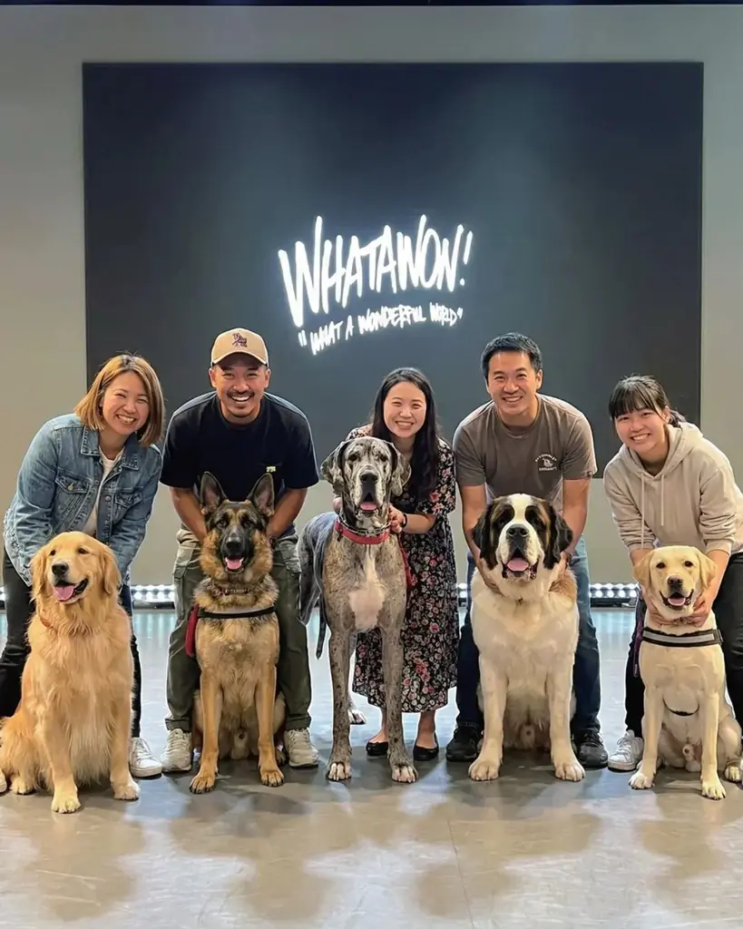 1月11日「わんわんわんの日」に開催！WHATAWONの大型犬向け室内オフ会【大阪・岸和田／参加費無料】 画像 7