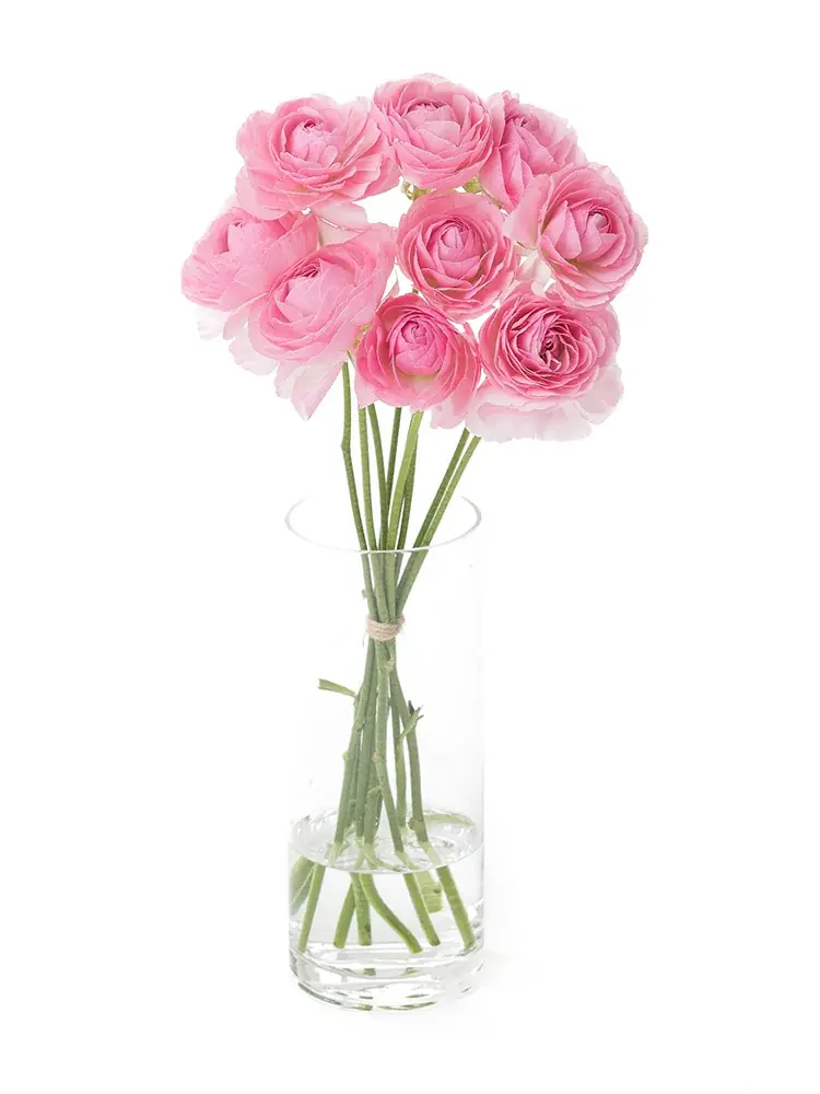 【ラナンキュラス販売開始！】ラックスシリーズを含む豊富な品揃え｜花の卸通販フラワースミスマーケット 画像 2