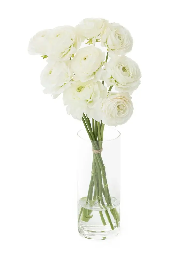 【ラナンキュラス販売開始！】ラックスシリーズを含む豊富な品揃え｜花の卸通販フラワースミスマーケット 画像 3