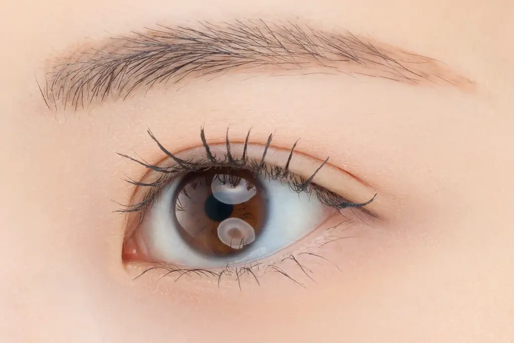 セザンヌのロングセラー 極細&高発色の毛筆アイライナーが発色アップでリニューアル！ 濡れツヤコーティングマスカラから新色登場 画像 12