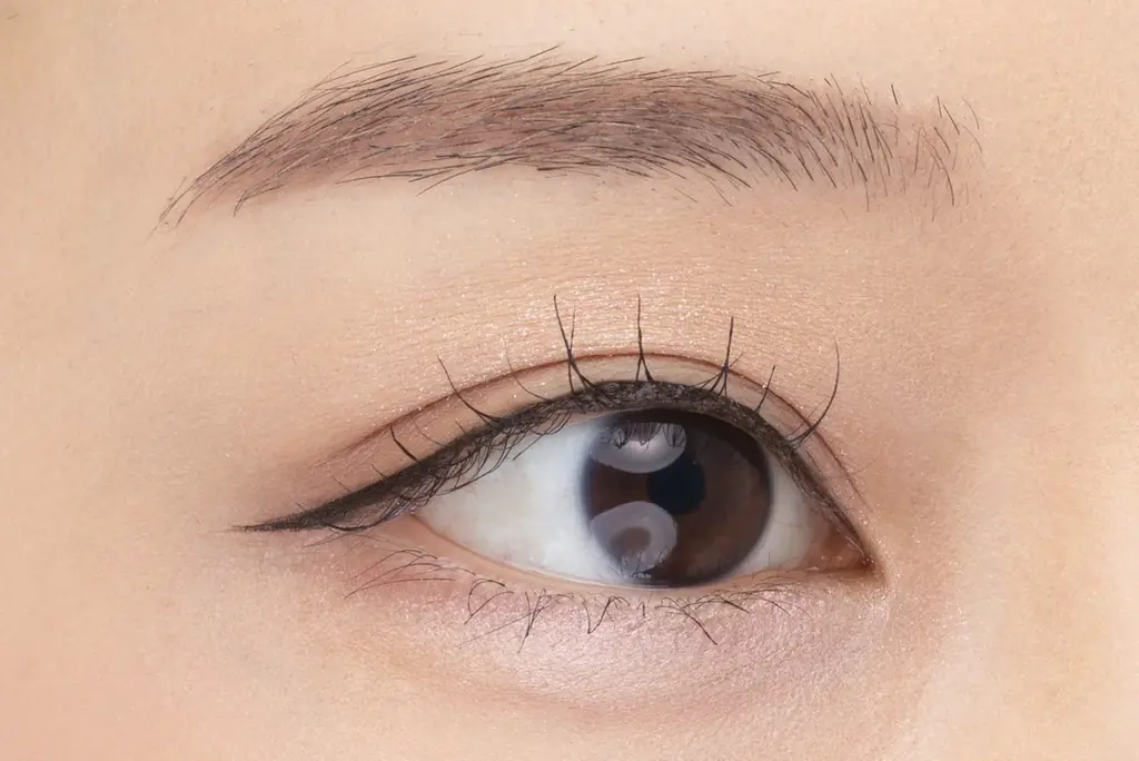 セザンヌのロングセラー 極細&高発色の毛筆アイライナーが発色アップでリニューアル！ 濡れツヤコーティングマスカラから新色登場 画像 4