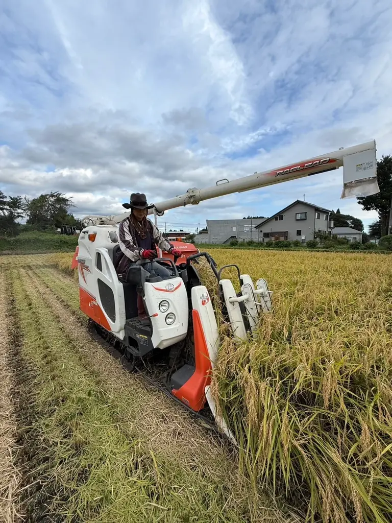 【駿府城公園】家族で楽しむ新年イベント！お米農家による餅つき大会＆つきたて餅無料配布｜今週末1月10日・11日開催・参加無料・入場無料｜ランタン夜市 と WONDERFUL AFTER HOLIDAY 画像 3