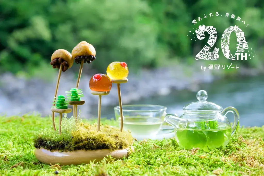 3月16日開始｜苔を観る新体験「春のお苔見」