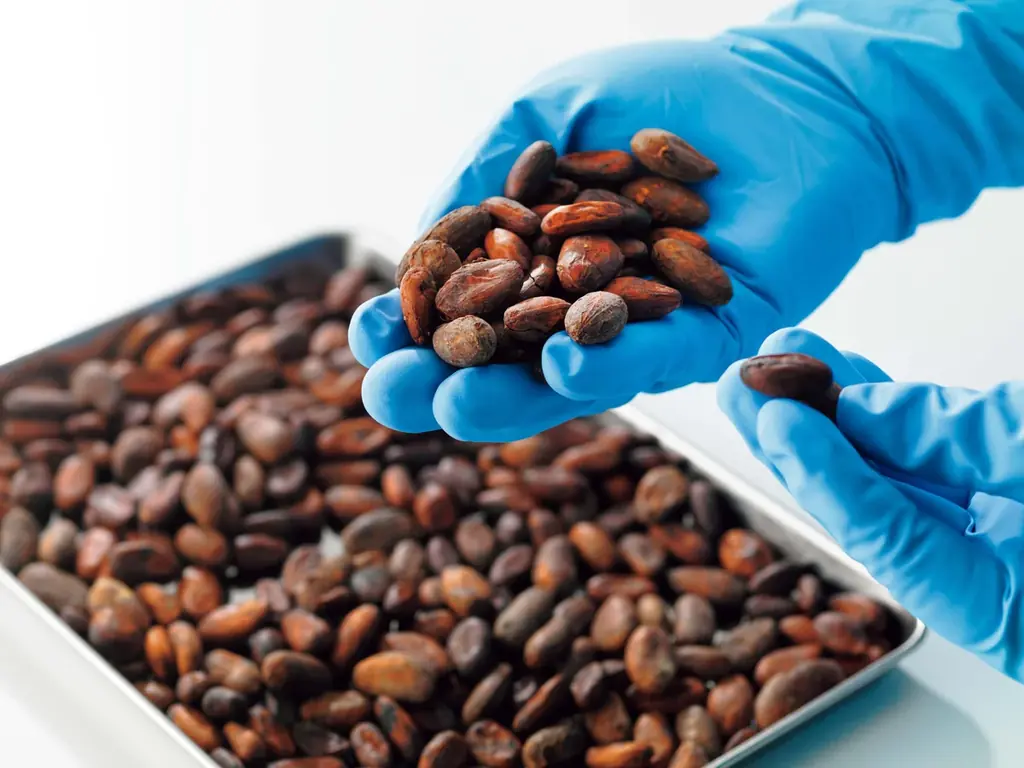 【ロイズ】自社農園産カカオを使い、すべての工程を手がけたこだわりのチョコレートが期間・数量限定で通信販売に登場！ 画像 3