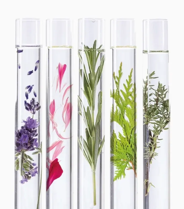 【ヨンカ】植物オイルの恵みを凝縮した新オイル美容液 「ヨンカ セラムオメガ」誕生。 画像 3