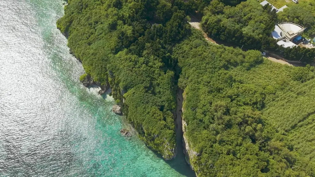 Neroグランドオープン